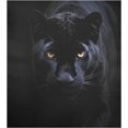 thumbnail image 2 of Cool Black Panther Dishwasher Door Cover Reusable Trimmable Kitchen Fridge Front Decal Magnetic Home Refrigerator Magnet Decal Panels 20"Wx26"H Home Decor, 2 of 5