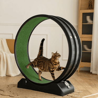 Cat Exercise Wheel, Cat Treadmill for Indoor Cats, Cat Running Wheel with Carpeted Runway, Easy to Install & Fitness & Health, Suitable for Most Cats, Plastic Cat Wheel (Black, 39.4” Diameter)