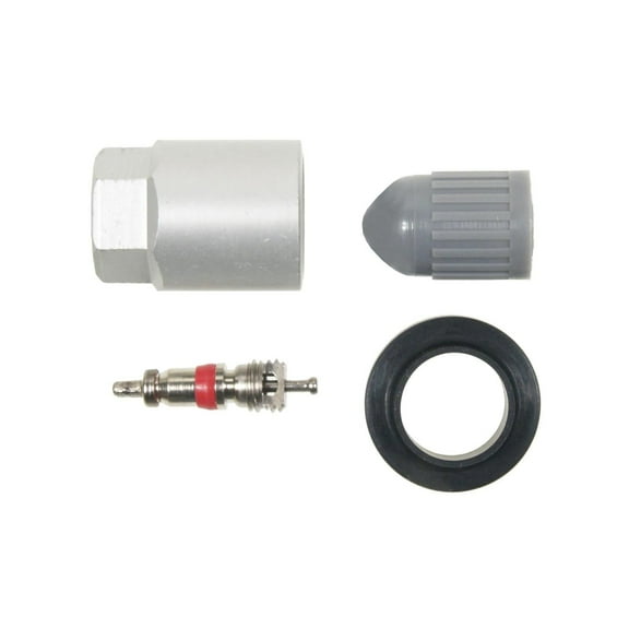 Standard Motor Products TPM2020K Fits select: 2009-2014 FORD F150, 2007-2015 CHEVROLET SILVERADO