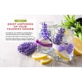 thumbnail image 5 of Growing Your Own Cocktails, Mocktails, Teas & Infusions : Gardening Tips and How-to Techniques for Making Artisanal Beverages at Home, 5 of 7