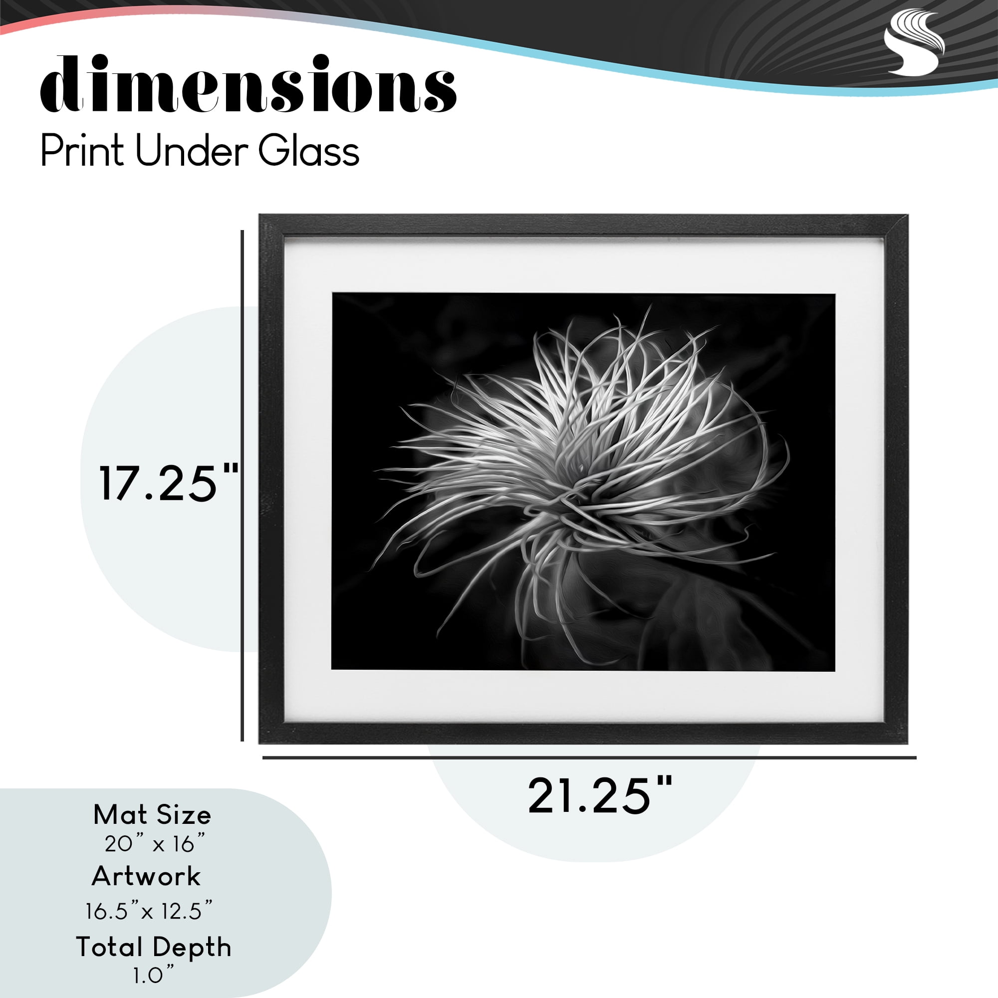 Twisting Botanical Leaves Contrast Black Framed Print Under Glass, design by Phillip Flowers