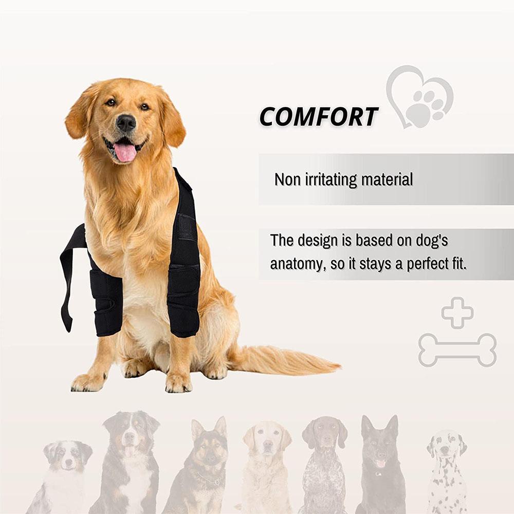 Dog Elbow Protection Brace prevent assist with Hygroma & Callus, provi –  AUBERON Dog Supplies