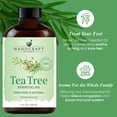 thumbnail image 4 of Handcraft Blends Tea Tree Essential Oil - Huge 4 Fl Oz - 100% Pure and Natural - Premium Grade with Glass Dropper, 4 of 7
