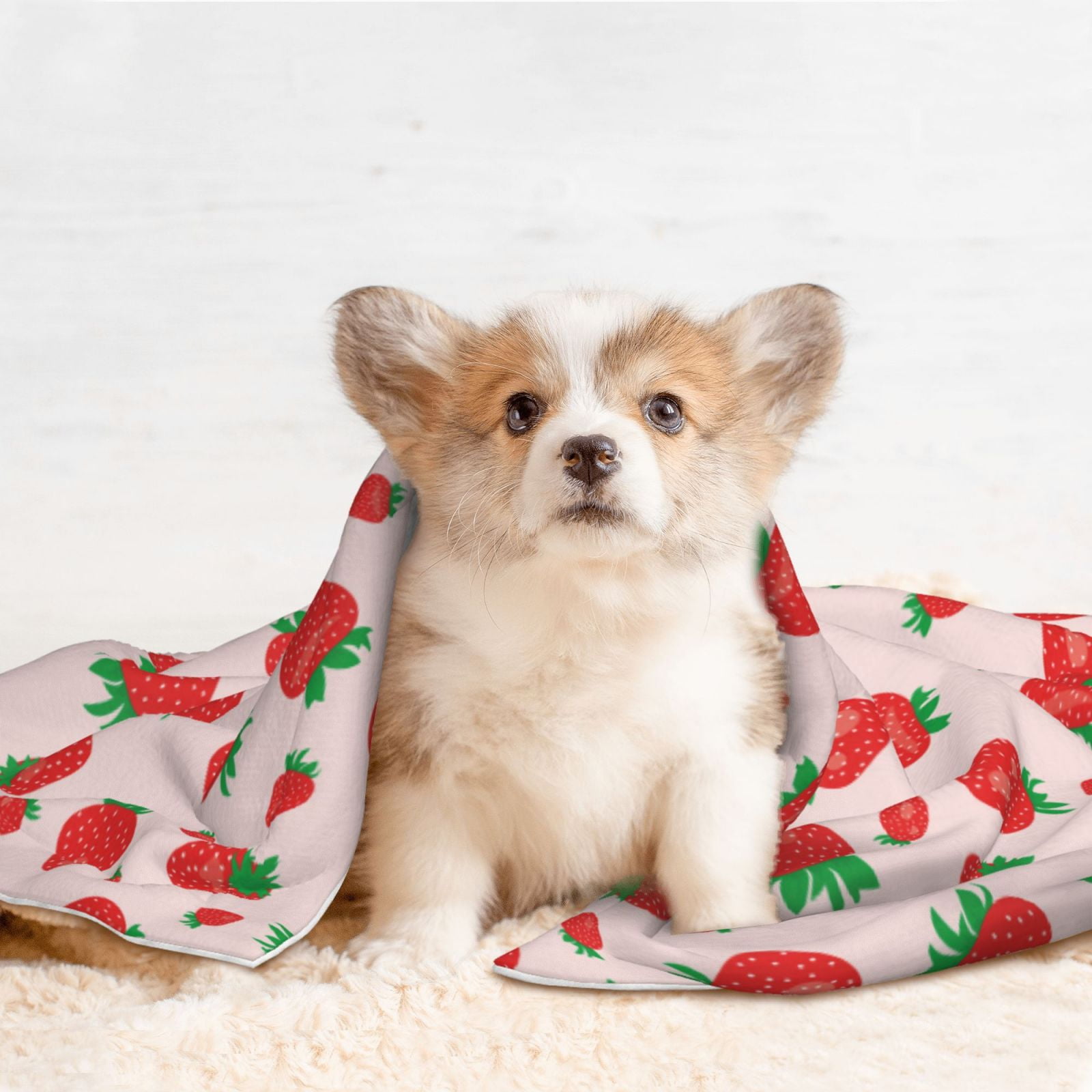 Naloa Strawberries Dog Blanket, 3 Sizes Cat Blanket for Indoor Cats Large Medium Small Dog Gifts-Medium