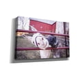 thumbnail image 2 of Epic Graffiti 'Hey Donkeys II' by Donnie Quillen, Canvas Wall Art, 40"x26", 2 of 2