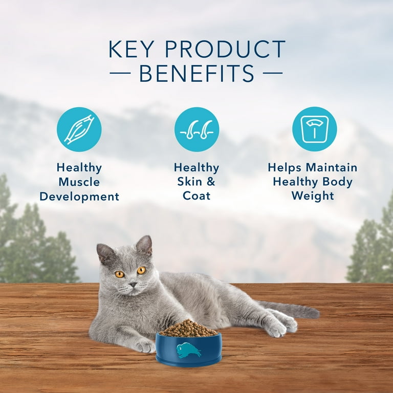 Blue buffalo 5 lb cat food cheap