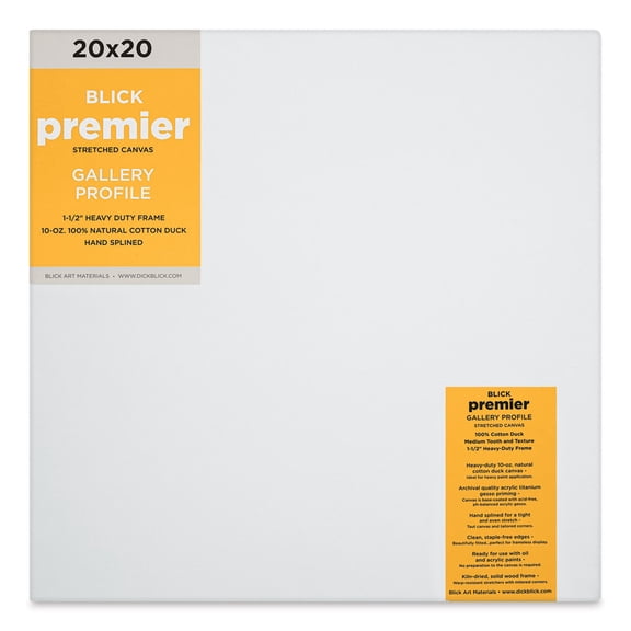 Blick Premier Stretched Cotton Canvas - Gallery Profile, Splined, 20" x 20"