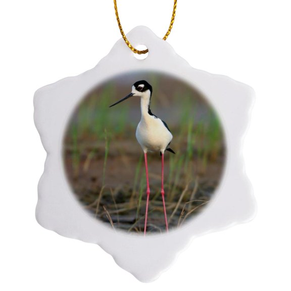 3drose, Black-necked Stilt in Wetland, Prairie Ridge Sna, Marion, Illinois, Us, 3 inch Snowflake Porcelain Ornament