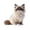 Ragdoll Cat, variant on Orange Ginger Cat Building Block Set, 380Pcs 3D Miniature Pet Animal Figurines, Maine Coon Persian Siamese Ragdoll Model Kits for Display