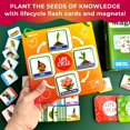 thumbnail image 3 of Kit magnético Lifecycle QUOKKA con 120 tarjetas flash para niños de 2 a 4, 3 of 8