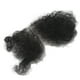 thumbnail image 2 of Vello púbico falso,Velo púbico falso suave Mujeres Cabello privado falso Vello púbico falso para muñeca Valor inmejorable, 2 of 8