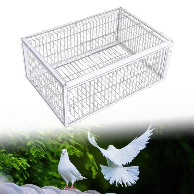 Jaula trampa para palomas Yinane Grande 40x30x26cm para Garajes Huertos Granjas 4 puertas