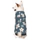 thumbnail image 1 of Balery Blue Flower Sudadera con Capucha para Perros Pequeños – Ropa para Mascotas, Disfraz para Perros y Gatos, Ideal para Fiestas y Cosplay-XX-Large, 1 of 7