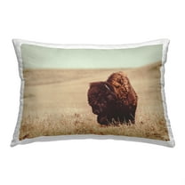 Stupell Industries Bison Country Pasture Decorative Printed Throw Pillow, 14 x 20