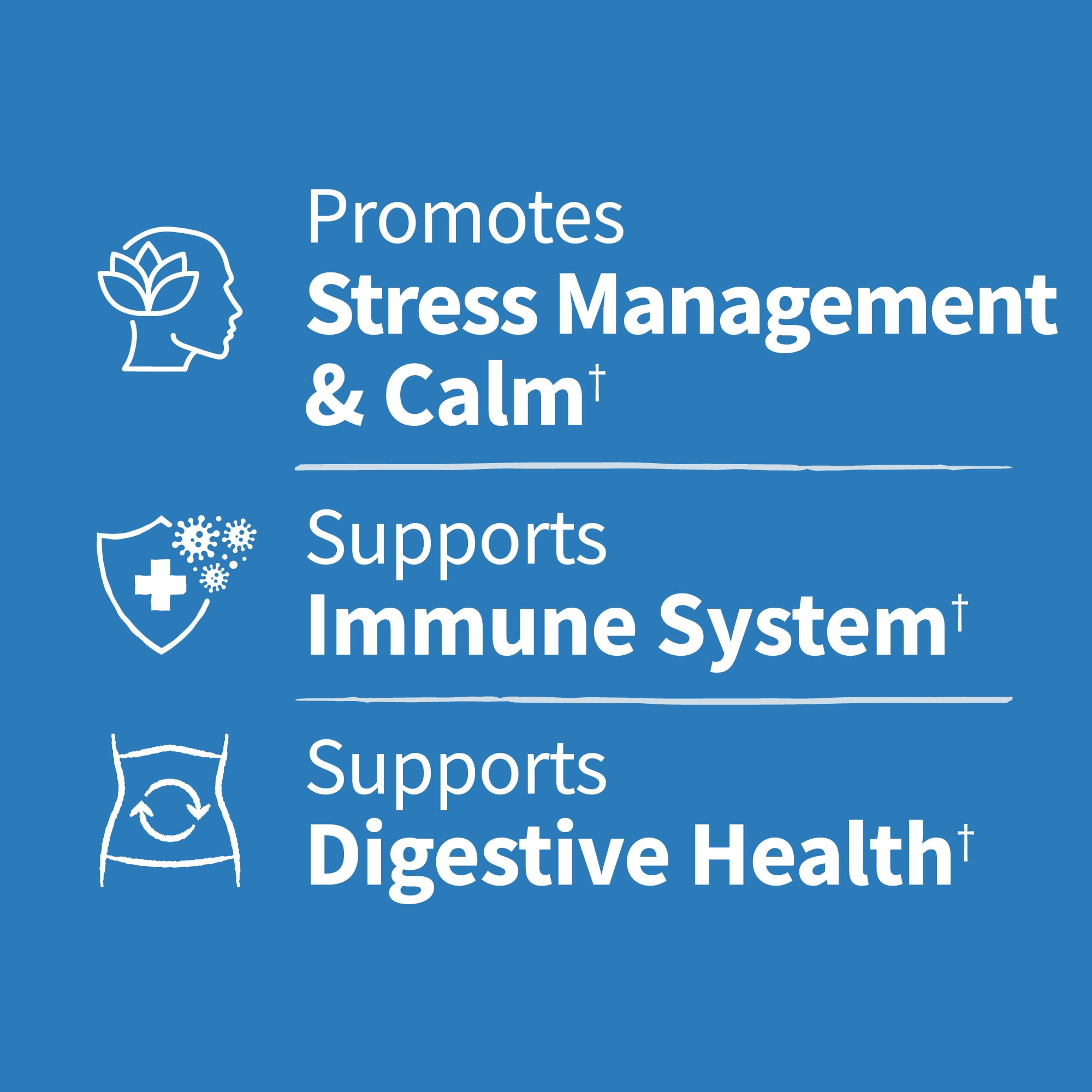 Garden of Life Dr. Formulated Digestive & Stress Probiotic Capsules, 40 Billion CFU - 14 Probiotic Strains with Ashwagandha, 30 Count