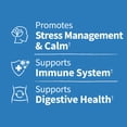 thumbnail image 5 of Garden of Life Dr. Formulated Digestive & Stress Probiotic Capsules, 40 Billion CFU - 14 Probiotic Strains with Ashwagandha, 30 Count, 5 of 10