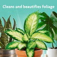 MiracleGro Leaf Shine, 8 oz