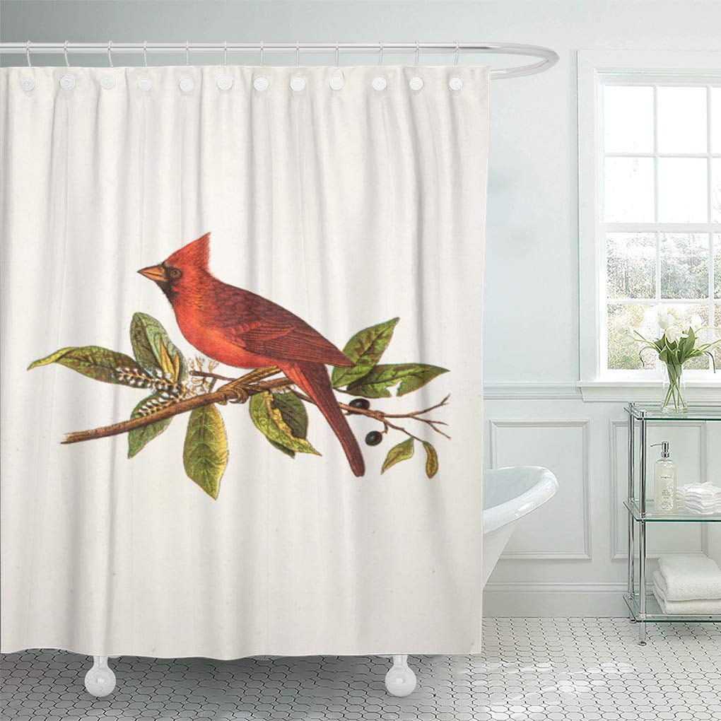 Lifeasy Winter Cardinals Stand on Branches Shower Curtain Cloth Fabric Bathroom Decor Set with Hooks Waterproof Washable 72 x 72 inches Grey White Red