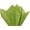 Bright Lime, variant on Bright Lime Tissue Paper Squares, 24 Sheets, Feronia Packaging, Large 20x30 Inch