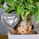 thumbnail image 1 of 4Pcs Automatic Plant Self Watering Bulbs Garden Watering Balls Irrigation System House Garden Water Can Houseplant Device DripBAustralia He Qiyong unisex, 1 of 1