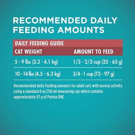 Purina One Tender Selects Blend Dry Cat Food Salmon, 7 lb Bag - Image 8