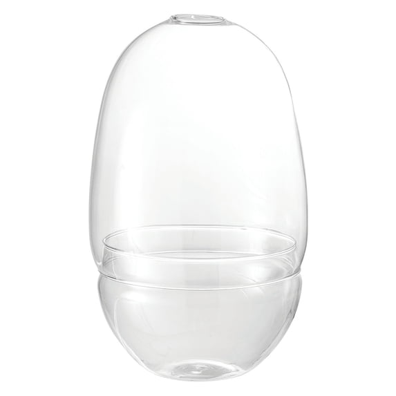 Sprinkle & Bloom Glass Terrarium