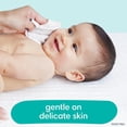 thumbnail image 3 of Combo de toallitas húmedas Pampers Baby Fresh Scented de 1152 unidades, 3 of 8