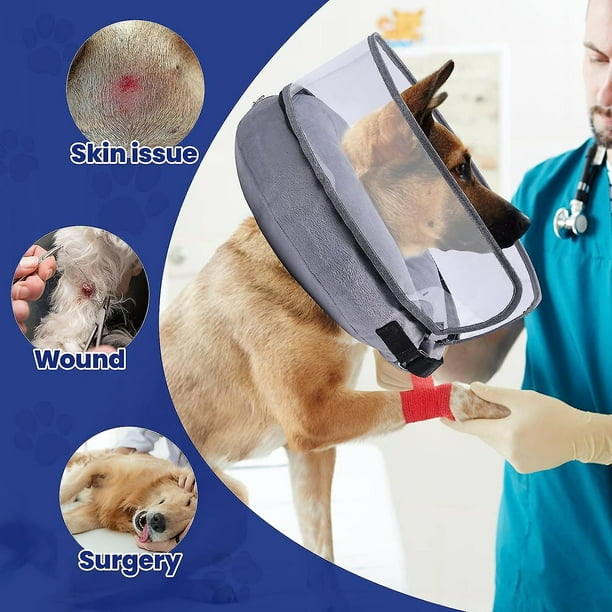 Dog cone for large dog hot sale