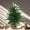 1.5FT+2Ft, variant on 1.5FT Norfolk Pine Tree for Christmas Decorations, Artificial Christmas Trees with White Pot, Fake Christmas Tree Xmas Decor for Office, Living Room, Apartment (1.5FT - 1Pcs)