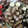 thumbnail image 4 of Northlight 10.25" Unlit Pine Cones and Berries Artificial Christmas Wreath, 4 of 4