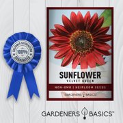 Velvet Queen Sunflower Seeds