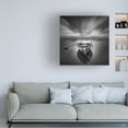 thumbnail image 2 of Trademark Fine Art 'Ready' 24" x 24" Canvas Art (ALI0067-C2424GG), 2 of 4
