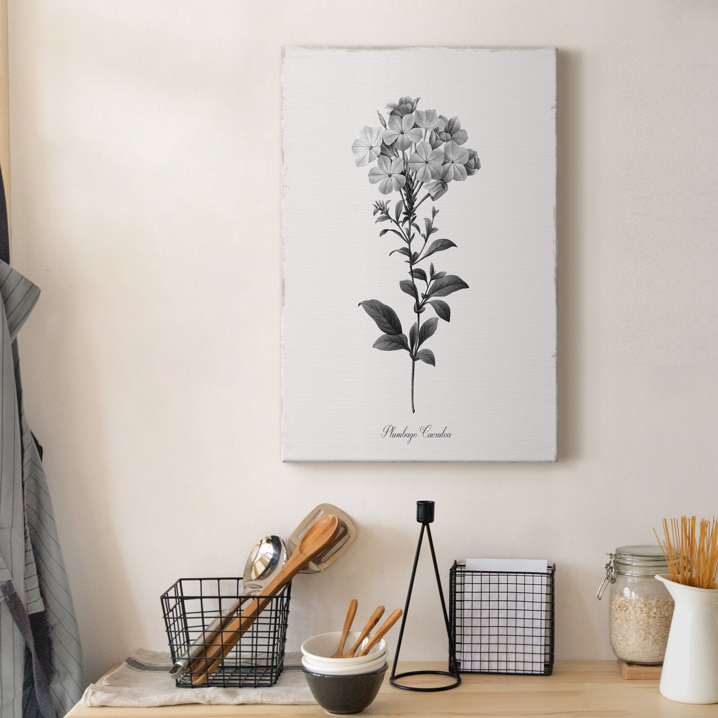 Simply Cape Leadwort Premium Gallery Wrapped Canvas - Ready to Hang - 18 x 27