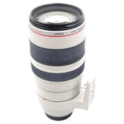 Canon EF 100-400mm F/4.5-5.6L IS USM Telephoto Zoom Lens for Canon SLR Cameras