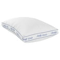 Sealy All Night Cooling Pillow