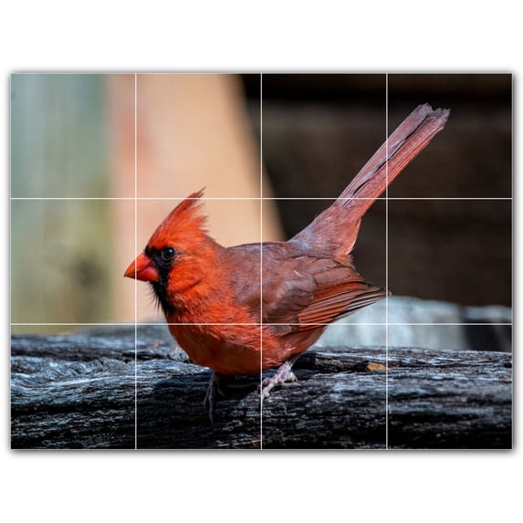 Picture-Tiles.com: Bird Ceramic Tile Wall Mural WAL500157-43S. 17"W x 12.75"H using (12) 4.25" x 4.25" Ceramic Tiles-Satin Finish