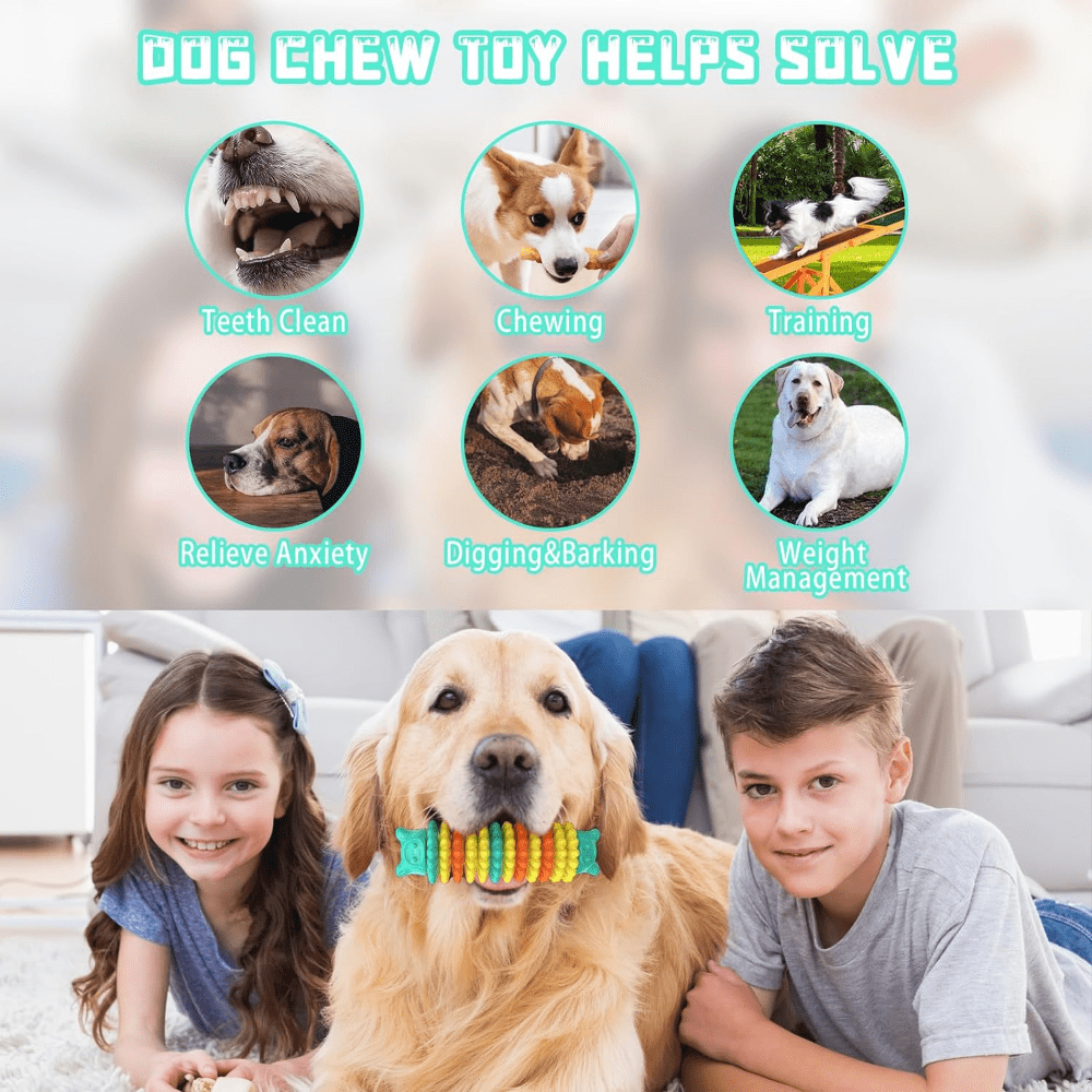 Dog Chew Toys for Aggressive Chewers, Durable Dog Toys for Large Medium Small Breed Dogs, Rubber Indestructible Dog Teething Toys, Tough Interactive Outdoor Dog Toys for Entertainment, Blue
