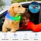 thumbnail image 2 of Collar LED para perros Dlitk, multicolor, recargable por USB, 70 cm, 2 of 6