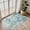 Aquamarine/Blue Green-style-02, variant on Area Rug 2x3 Doormat, Machine Washable Low Pile Rugs, Small Retro Chenille Entryway Mat for Entrance, Hallway, Kitchen and Corridor, Heathered Grey