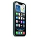 thumbnail image 3 of Funda de silicona Apple para iPhone 16e - Lake Green, 3 of 3