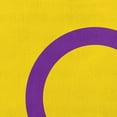 thumbnail image 2 of Simply Daisy 26 inch Intersex Flag Decorative Throw Pillow, 2 of 3