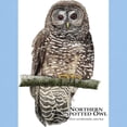 thumbnail image 3 of CafePress - Northern Spotted Owl Light T Shirt - Light T-Shirt - CP, 3 of 4