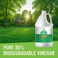 thumbnail image 3 of 30% Vinegar Concentrated | White Vinegar for Cleaning and Garden | Home, and Outdoor Pure | Max Performance 6X Power | with Instructions | 2 Gallon (256 fl oz), 3 of 5