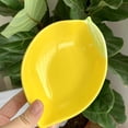 thumbnail image 5 of Ksopiavobs Ceramic Appetizer Plate Lemon Plate Dessert Plate Salad Pasta Bowls Food Serving Tray for Fruit Cheese Dessert Snack, 5 of 7