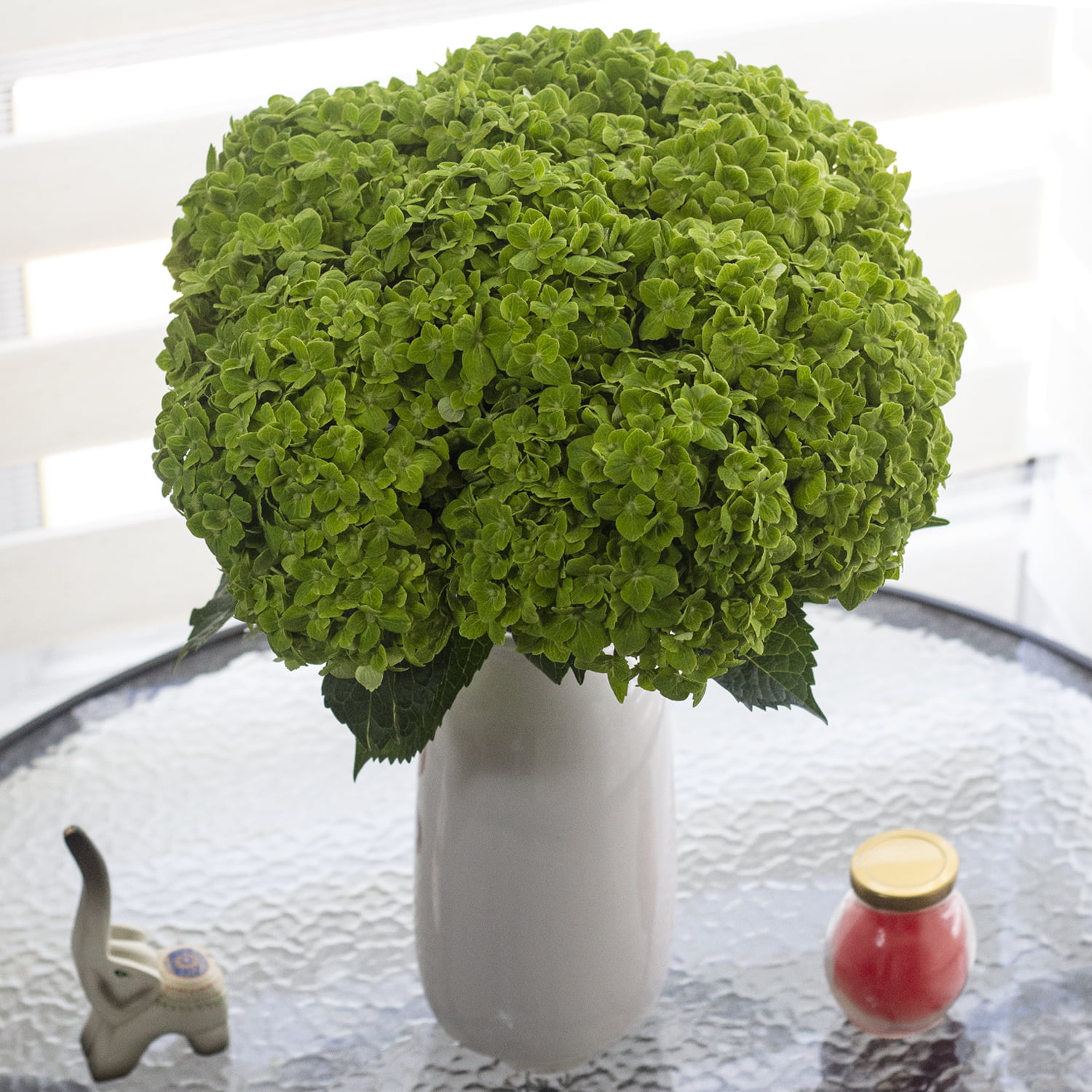 Dried Hydrangea, Natural Green – Carolina Flowers