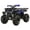 Blue, variant on Coolster 170cc Fully Automatic Full Sized Utility ATV 3200U