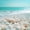 Ocean 9, variant on jejeloiu Serene Coastal Scene Full Size Comforter Sets For Girls,Starfish Shell Shore Bedding Comforter Set,Blue Beige,Reversible,3 Pieces,1 Comforter and 2 Pillowcases