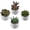 White (Set of 4), variant on Assorted Artificial Red Succulent Plants, Mini Fake Desert Plants in White Square Pots, Set of 3