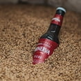 thumbnail image 4 of CERVEZA MINERVA | Cerveza Minerva Viena 12 Pack | 12 Cervezas Artesanales De 355 ml Cada Una | Cerveza Artesanal Viena | Sabor &uacute;nico y tostado | &iexcl;La Cerveza Artesanal De M&eac, 4 of 7