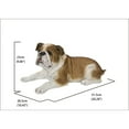 thumbnail image 4 of Hi-Line Gifts 20.25" Lying Bulldog Outdoor Garden Statue, 4 of 4
